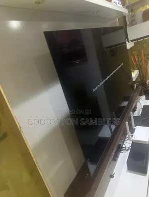 LG A1 55-Inch 4k Smart Oled TV