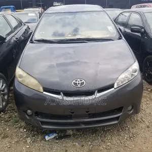 Toyota Wish 2011 Gray