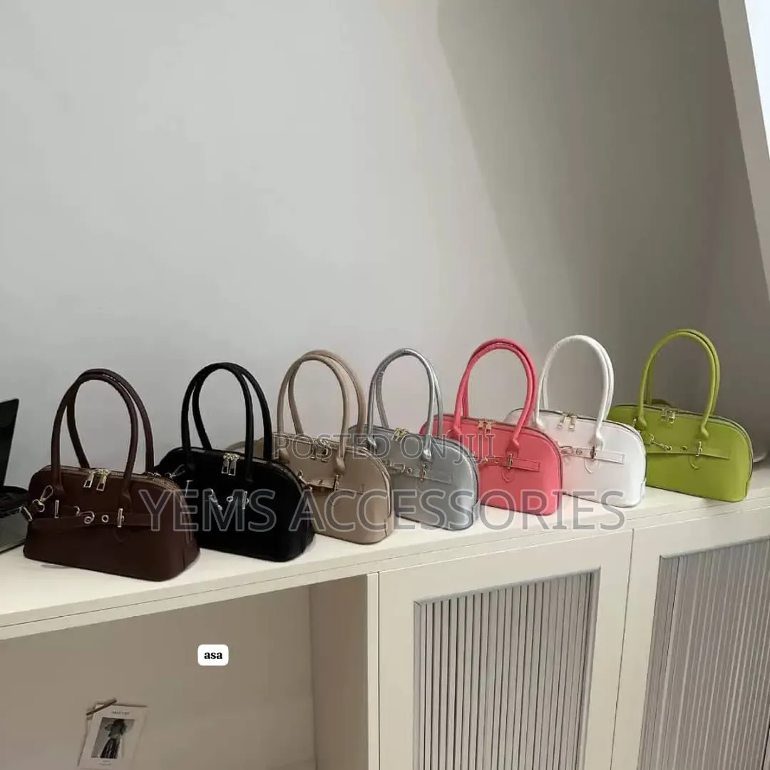 Luxury Hand Bag