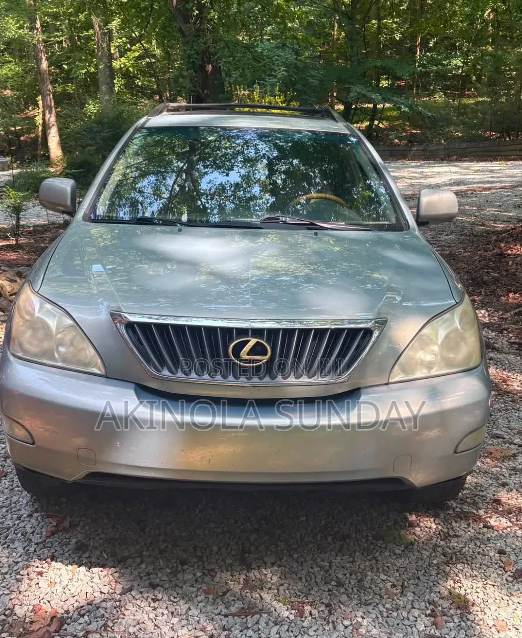Lexus RX 2009 Silver