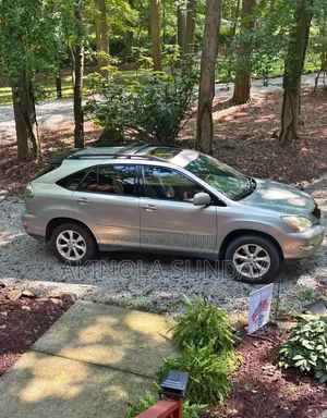 Lexus RX 2009 Silver
