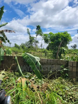 More Than a Plot at Palmview Estate Alagbaka GRA for Sale