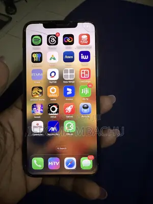 Apple iPhone 11 Pro Max 512 GB Gray
