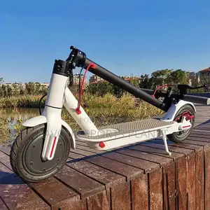 New Adult Electric Scooter Available at Sports Planet