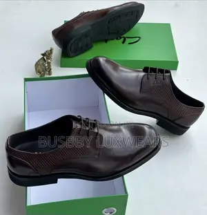 Clarks Pure Leather Mens Shoes
