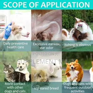 Ear Mite Treatment for Pets