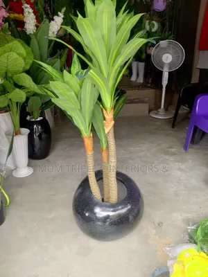 Sophisticated Plant and Vase