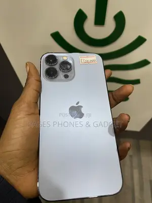 Apple iPhone 13 Pro Max 128 GB Gray