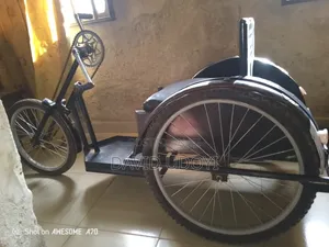 Physically Challenged Manual Bicycle