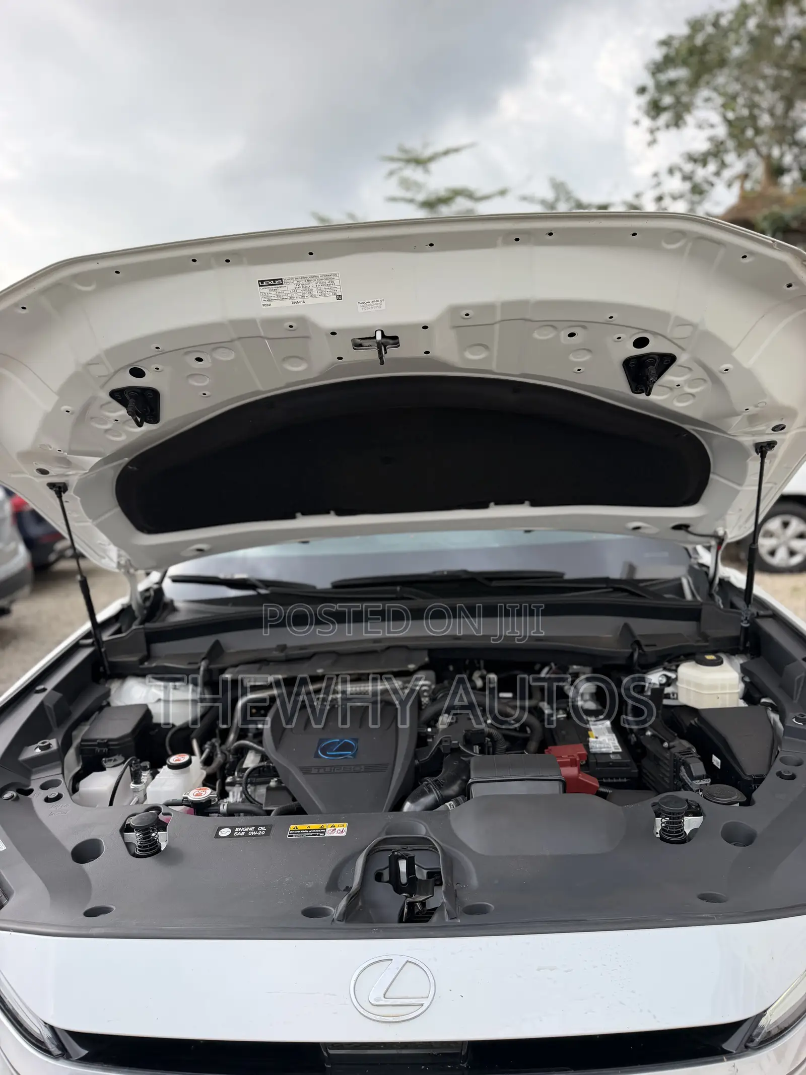 Lexus TX 350 2026 White