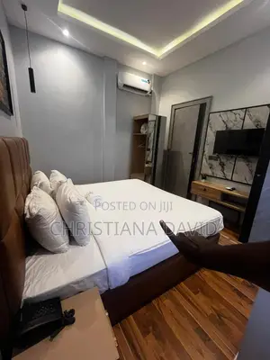 Brand New 1 Bedroom Apartment With Elevator Access