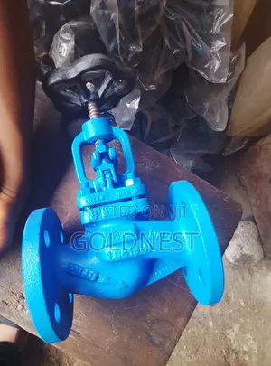 Industrial Flanged Globe Valve (DN 32).
