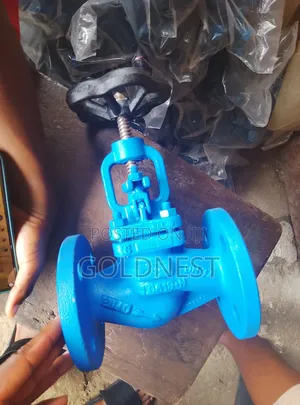 Industrial Flanged Globe Valve (DN 32).