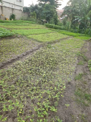 Mixed Use Land at Reeves Road Old Ikoyi