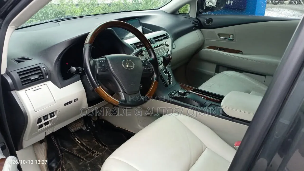 Lexus RX 350 2010 Gray