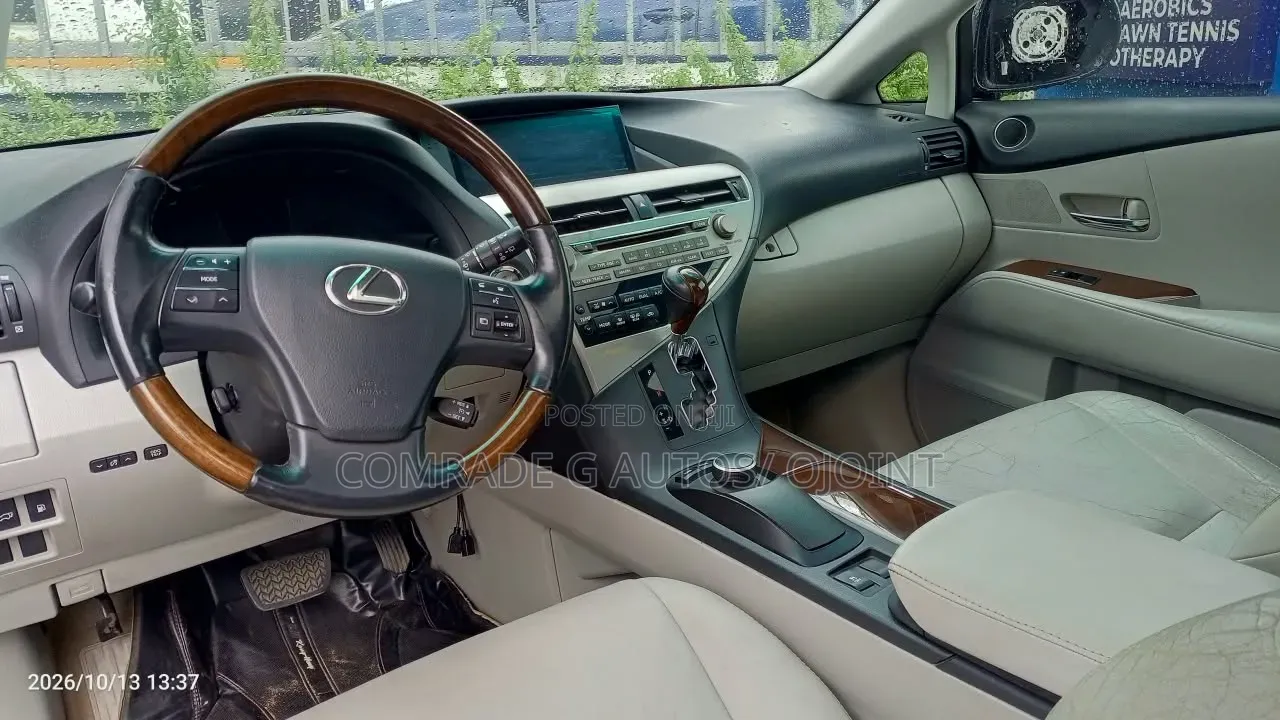 Lexus RX 350 2010 Gray