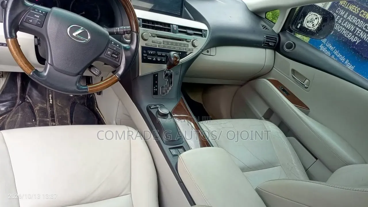 Lexus RX 350 2010 Gray