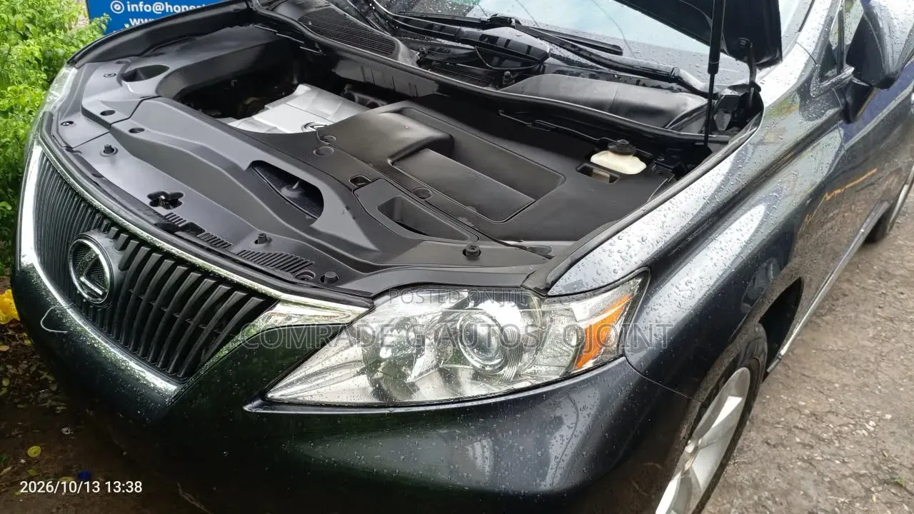 Lexus RX 350 2010 Gray