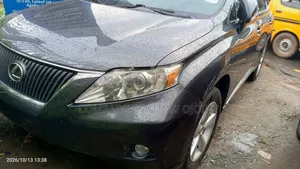Lexus RX 350 2010 Gray