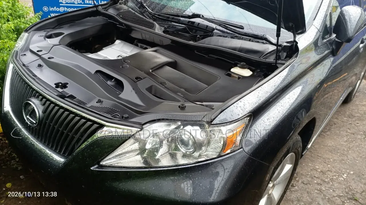 Lexus RX 350 2010 Gray