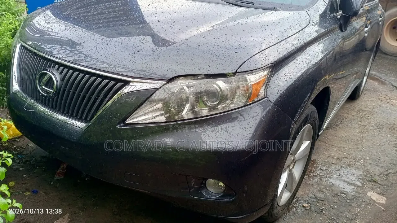Lexus RX 350 2010 Gray