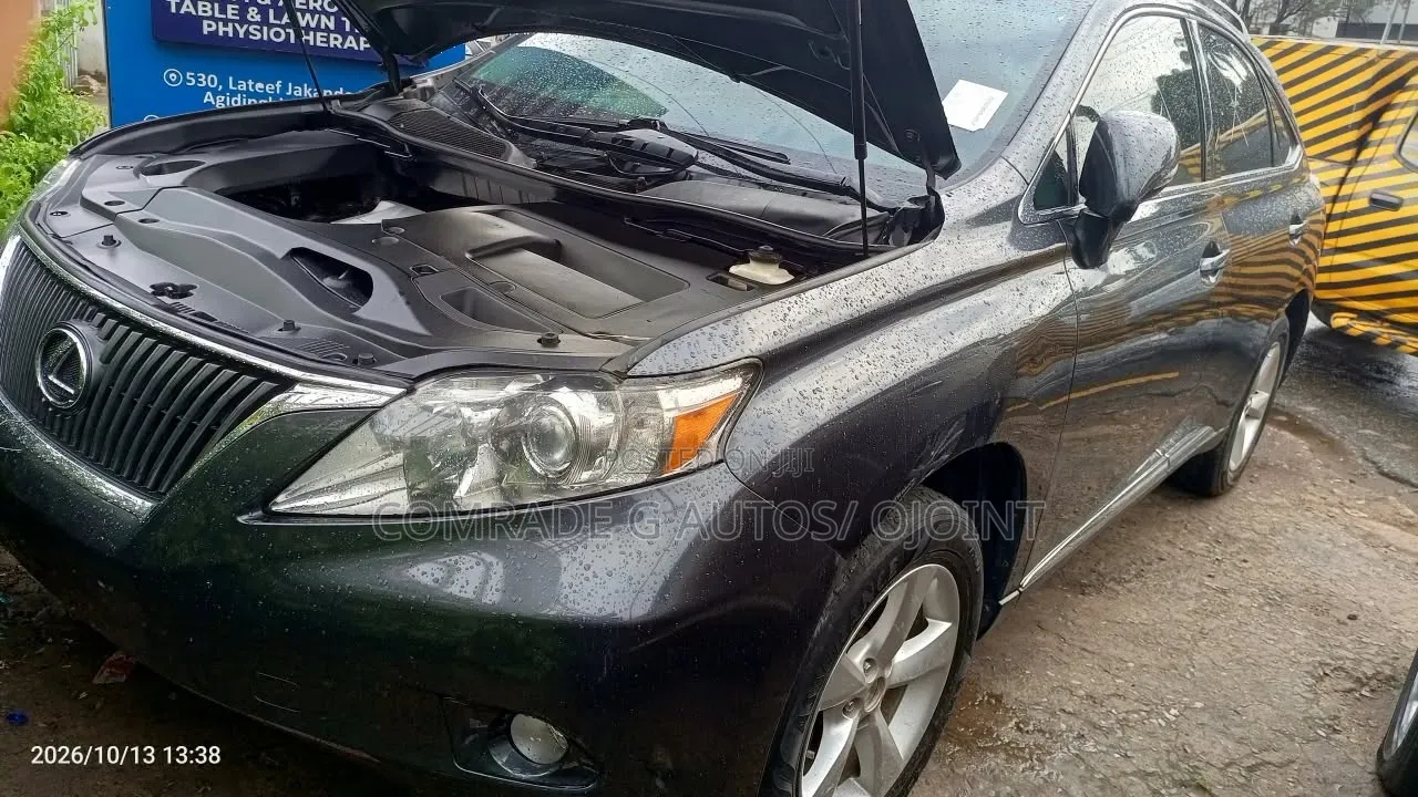 Lexus RX 350 2010 Gray