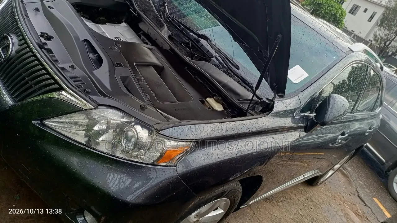 Lexus RX 350 2010 Gray