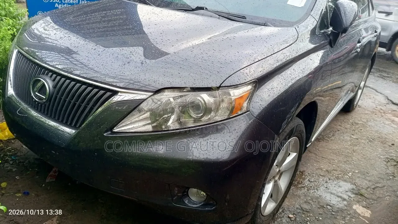 Lexus RX 350 2010 Gray