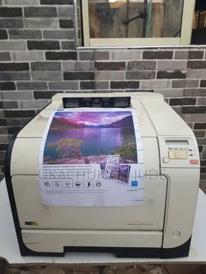 HP LaserJet Pro 300/400 Series Color Laser Printer