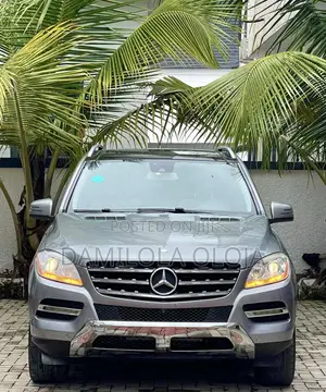 Mercedes-Benz M Class 2014 Gray