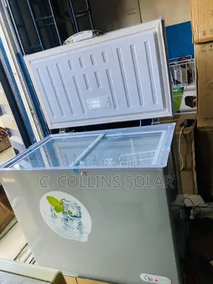 318L Bona Solar Freezer