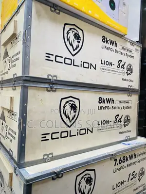 8kwh 24v Ecolion Lithium Battery