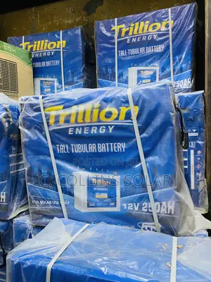 250Ah Trillion Energy Tubular Battery