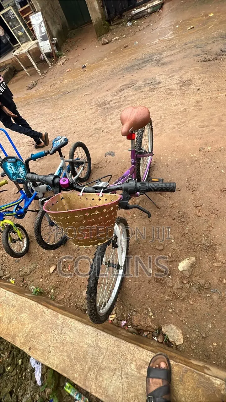 Foreign Used Bicycles