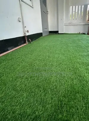 Green That Stays Fresh All Year Round