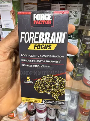 Forebrain Focus
