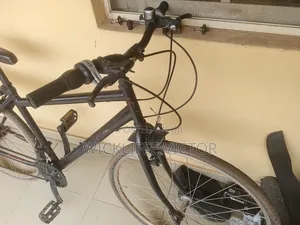 Adult Bicycle