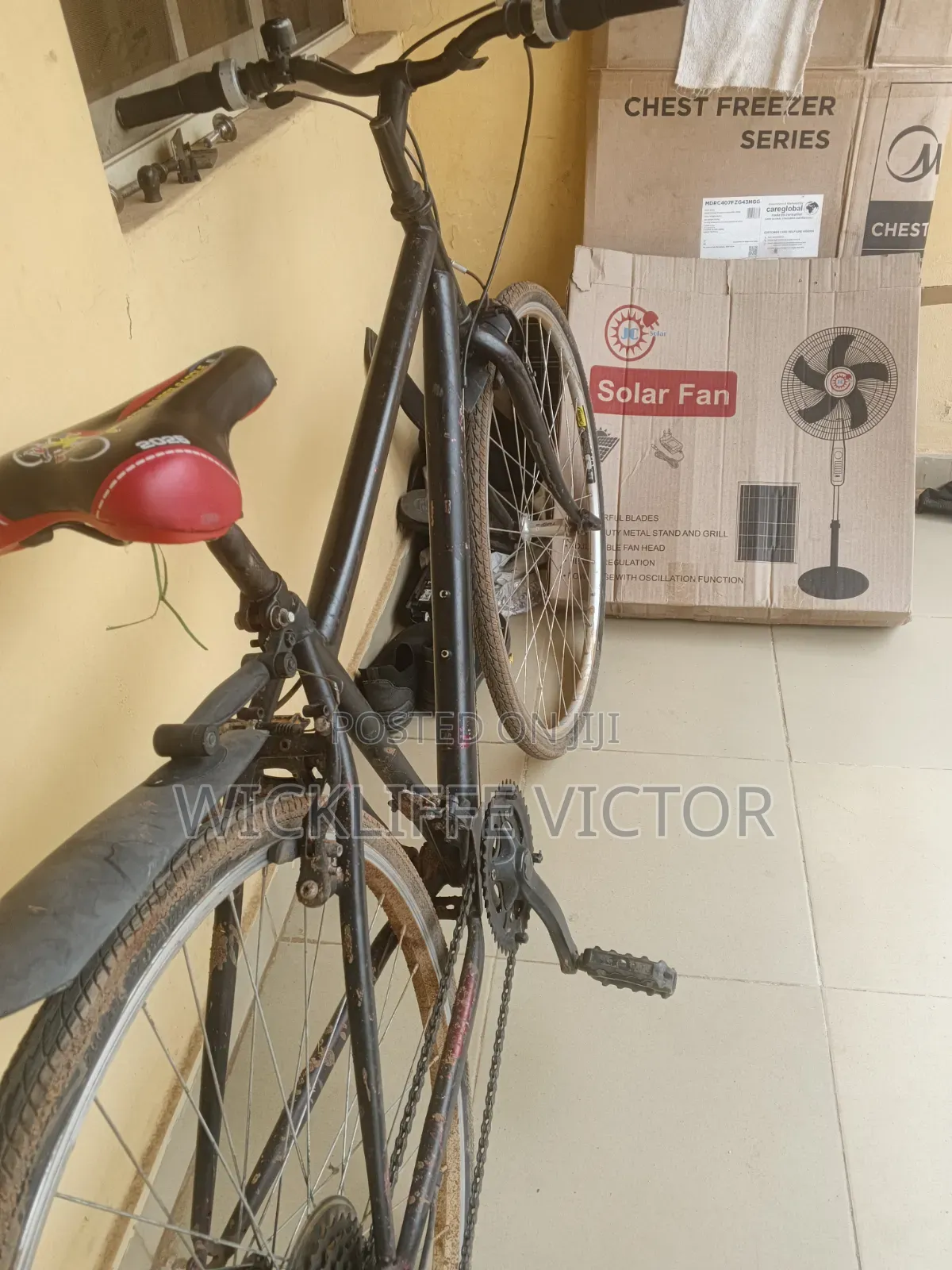 Adult Bicycle