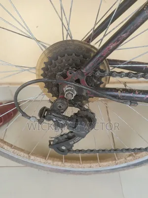 Adult Bicycle