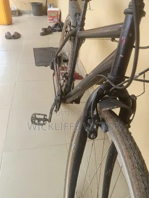 Adult Bicycle