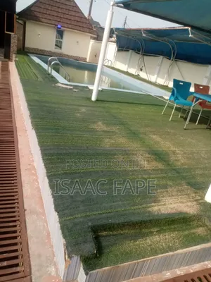 Artificial Grass