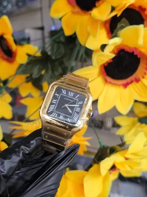 Cartier Wrist Watch Foreconer