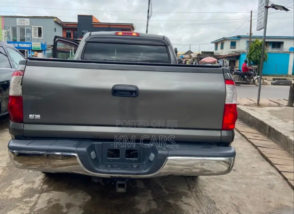 Toyota Tundra 2004 Gray