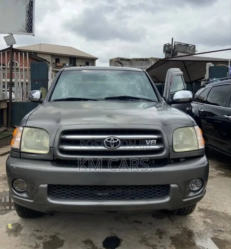 Toyota Tundra 2004 Gray