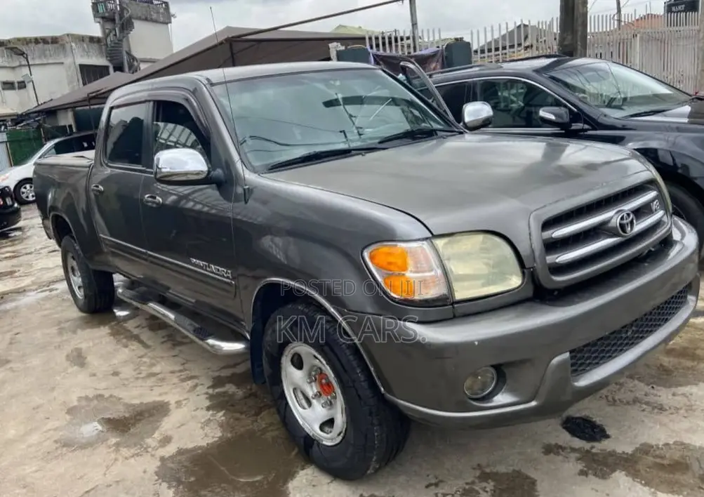 Toyota Tundra 2004 Gray
