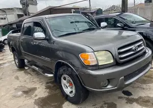 Toyota Tundra 2004 Gray