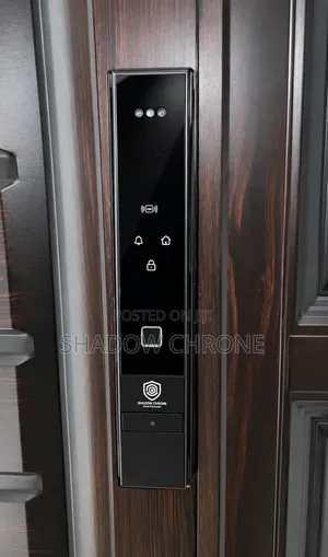Executive Smart Door Lock - 3D Face & Palm ID