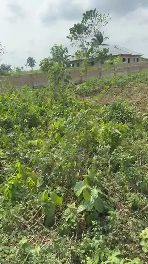 1 Acre (6plots) of Land
