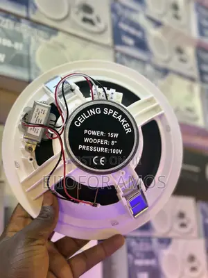 15w Celling Speaker