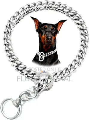 Chock Chain Collar 5mm*70cm